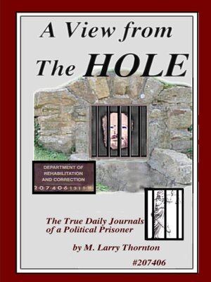 cover image of A View From the Hole